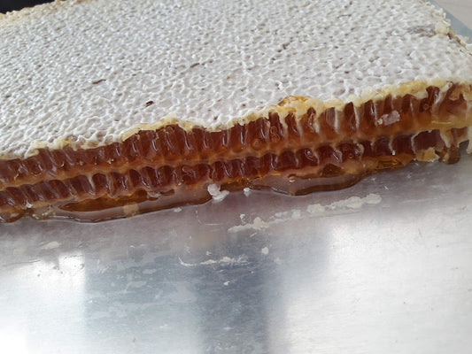 Cut Comb Honey